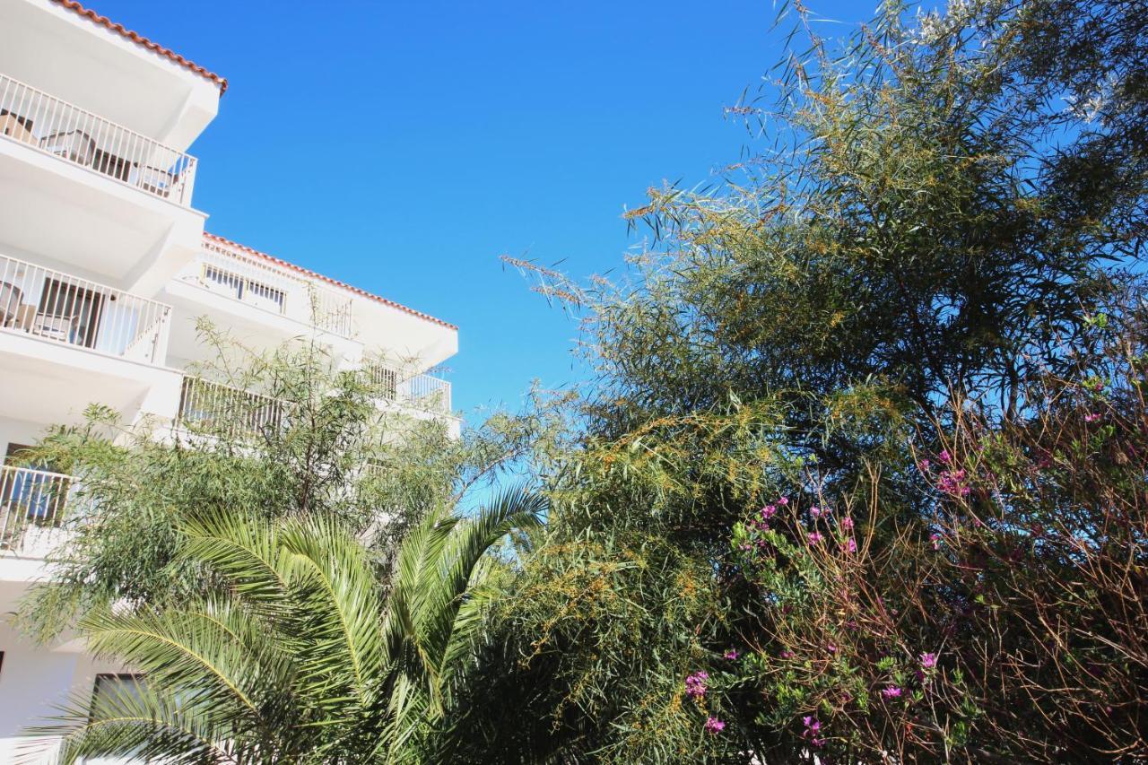 Aparthotel Niu D'Aus Portopetro Εξωτερικό φωτογραφία