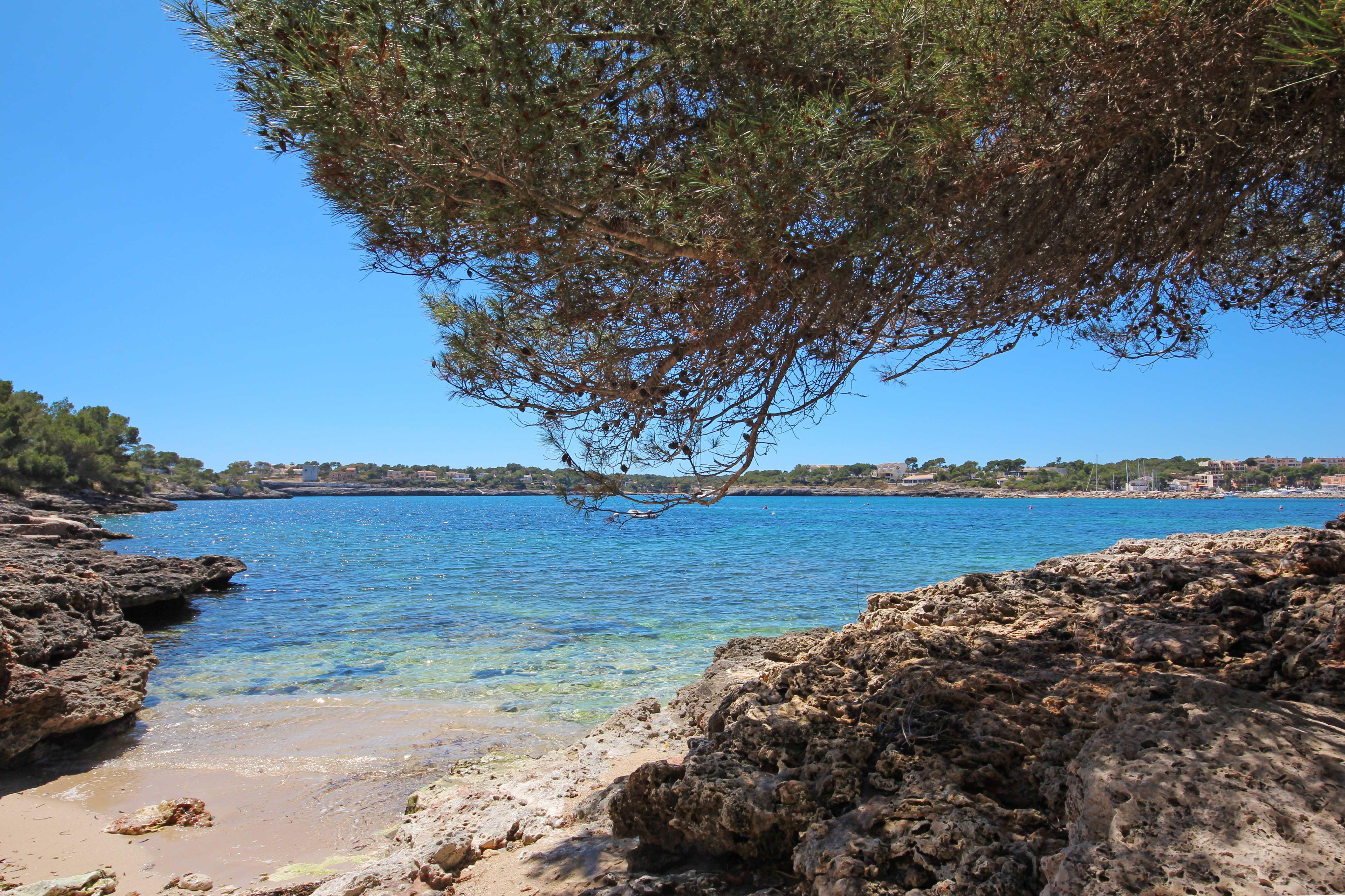 Aparthotel Niu D'Aus Portopetro Εξωτερικό φωτογραφία